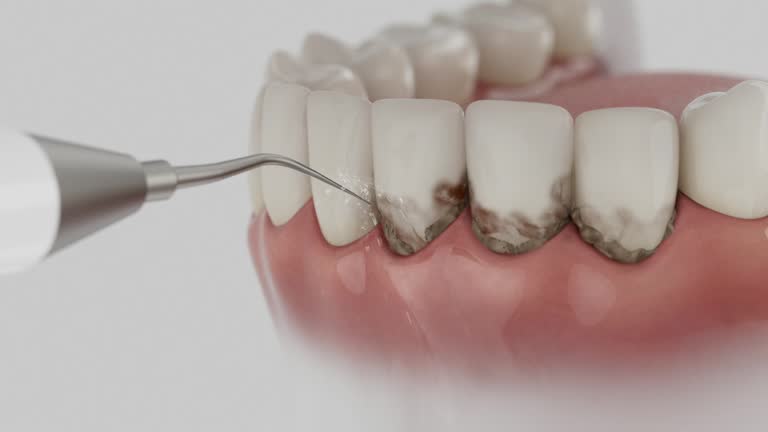 Reliable Dental contractor in Ravensworth, VA by Dentist Open Now
